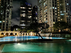 Spring Grove (D10), Condominium #237911381
